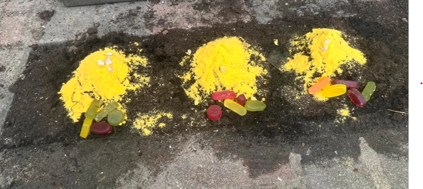 Schermafbeelding 2026-02-14 232624